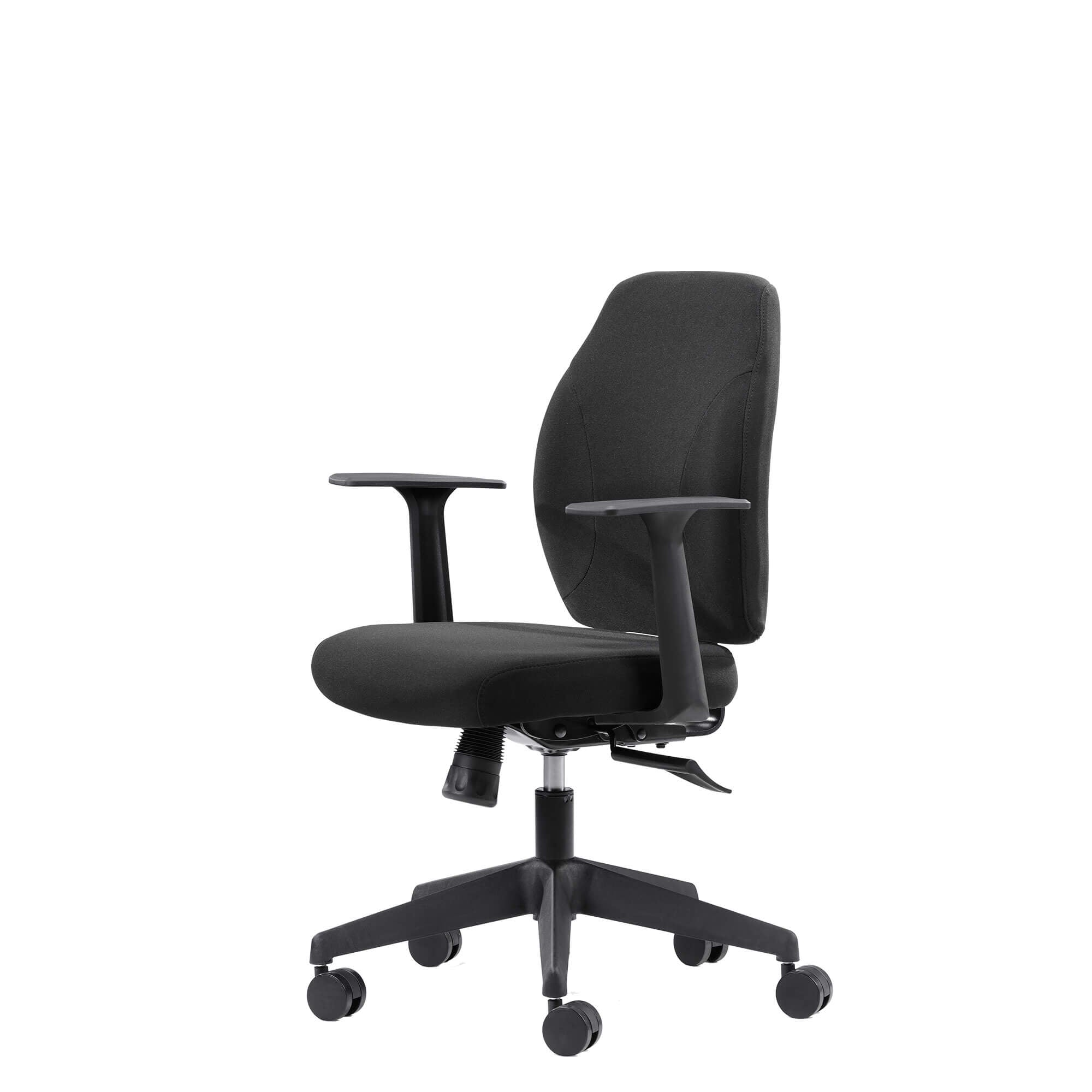 Canadian Ergo Eco
