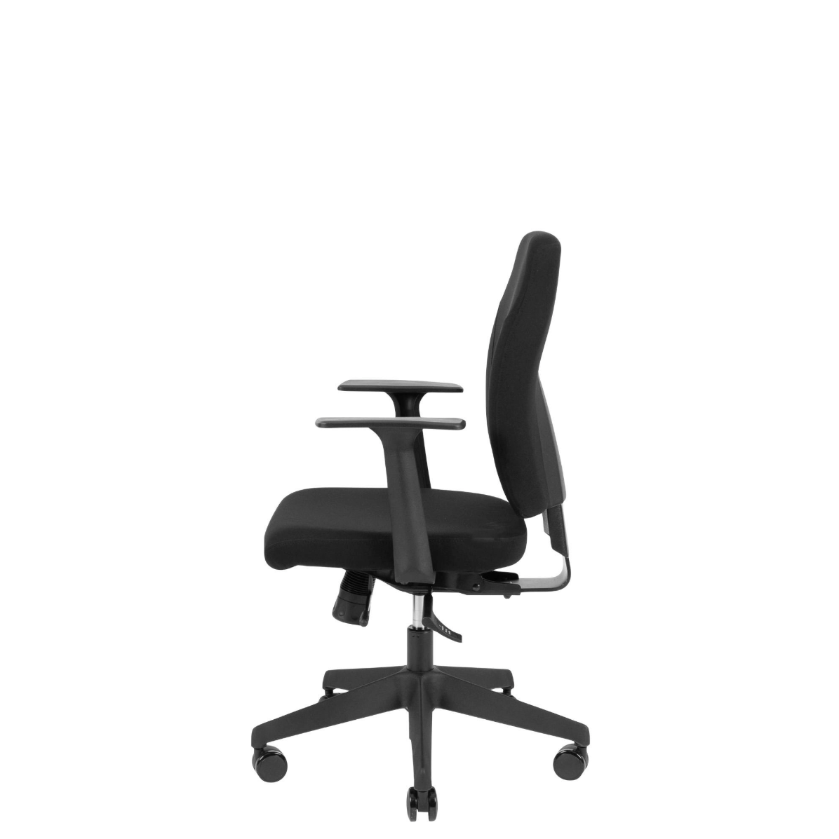 Canadian Ergo Eco