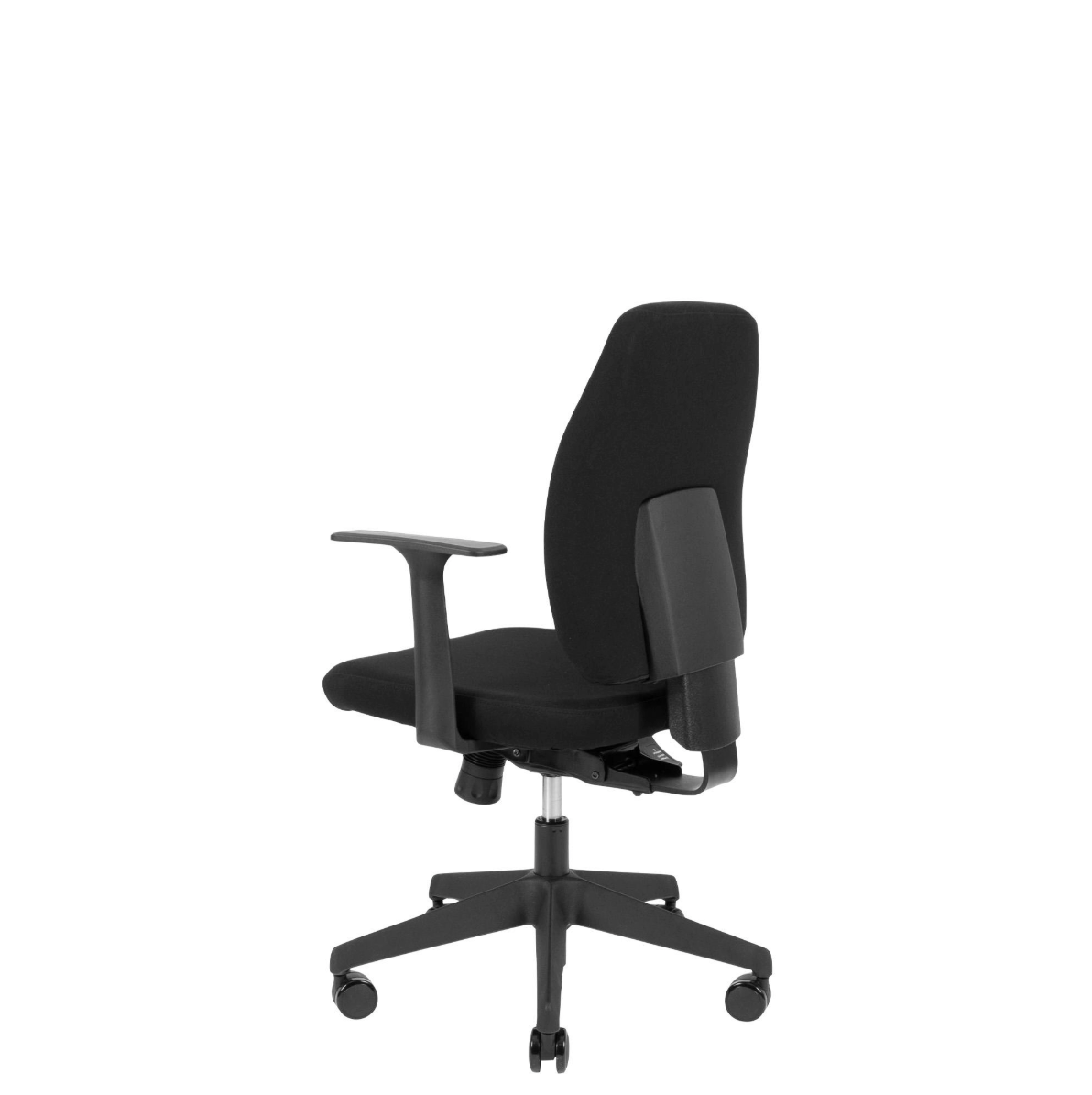 Canadian Ergo Eco