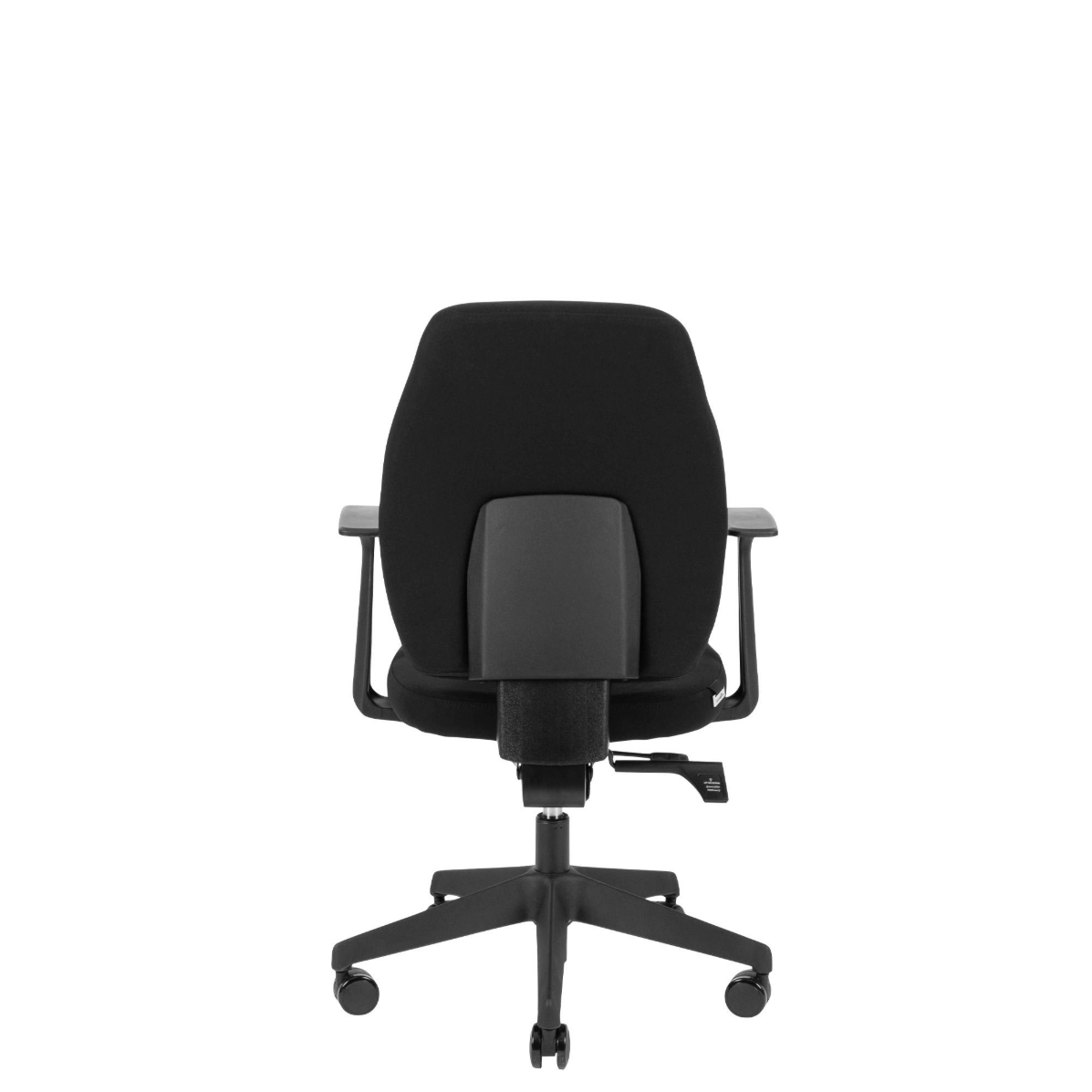 Canadian Ergo Eco