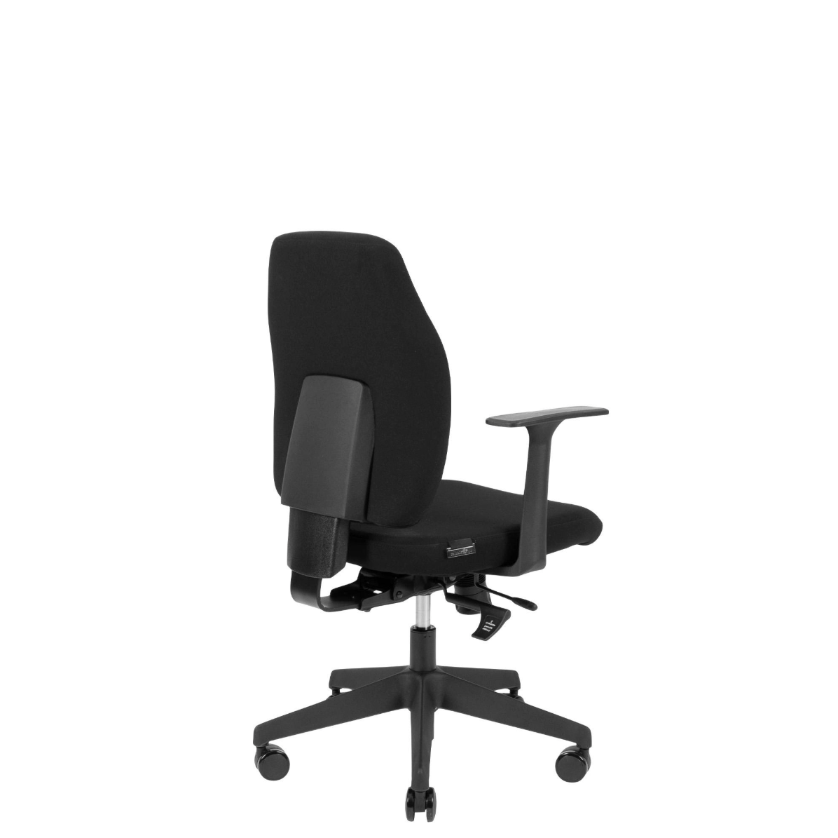 Canadian Ergo Eco