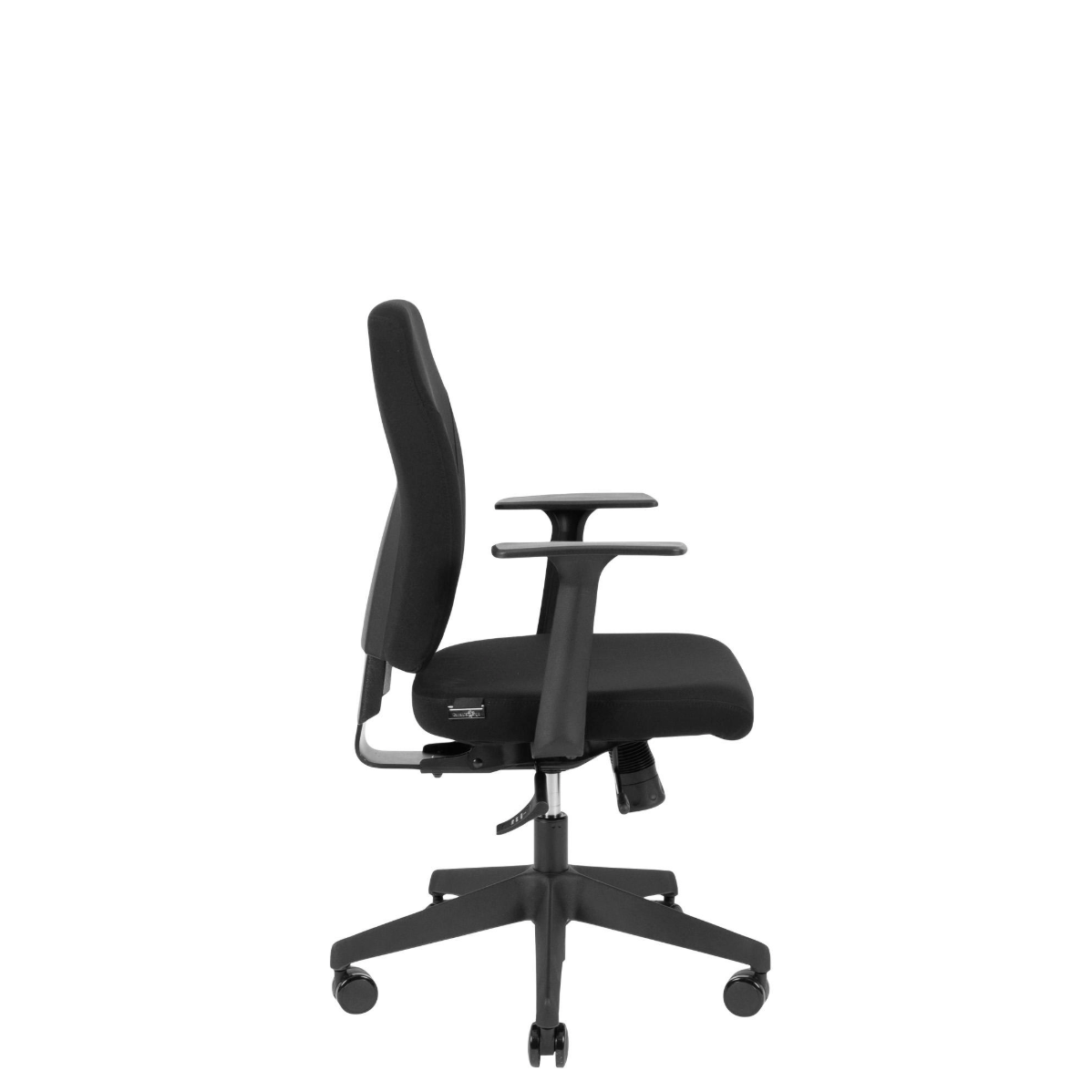 Canadian Ergo Eco