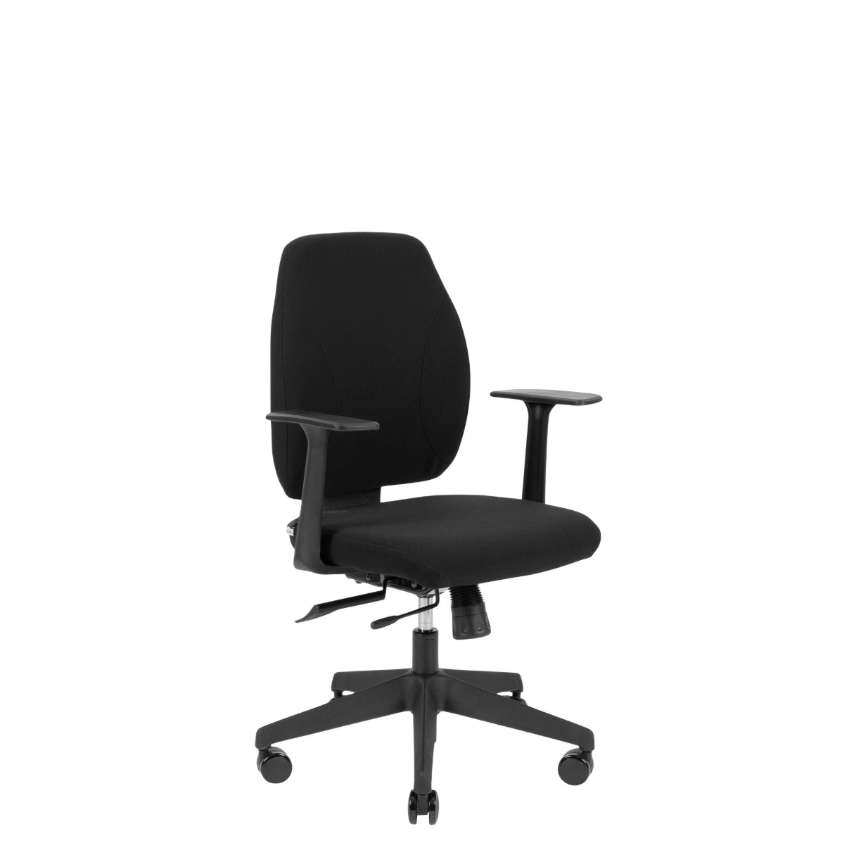 Canadian Ergo Eco