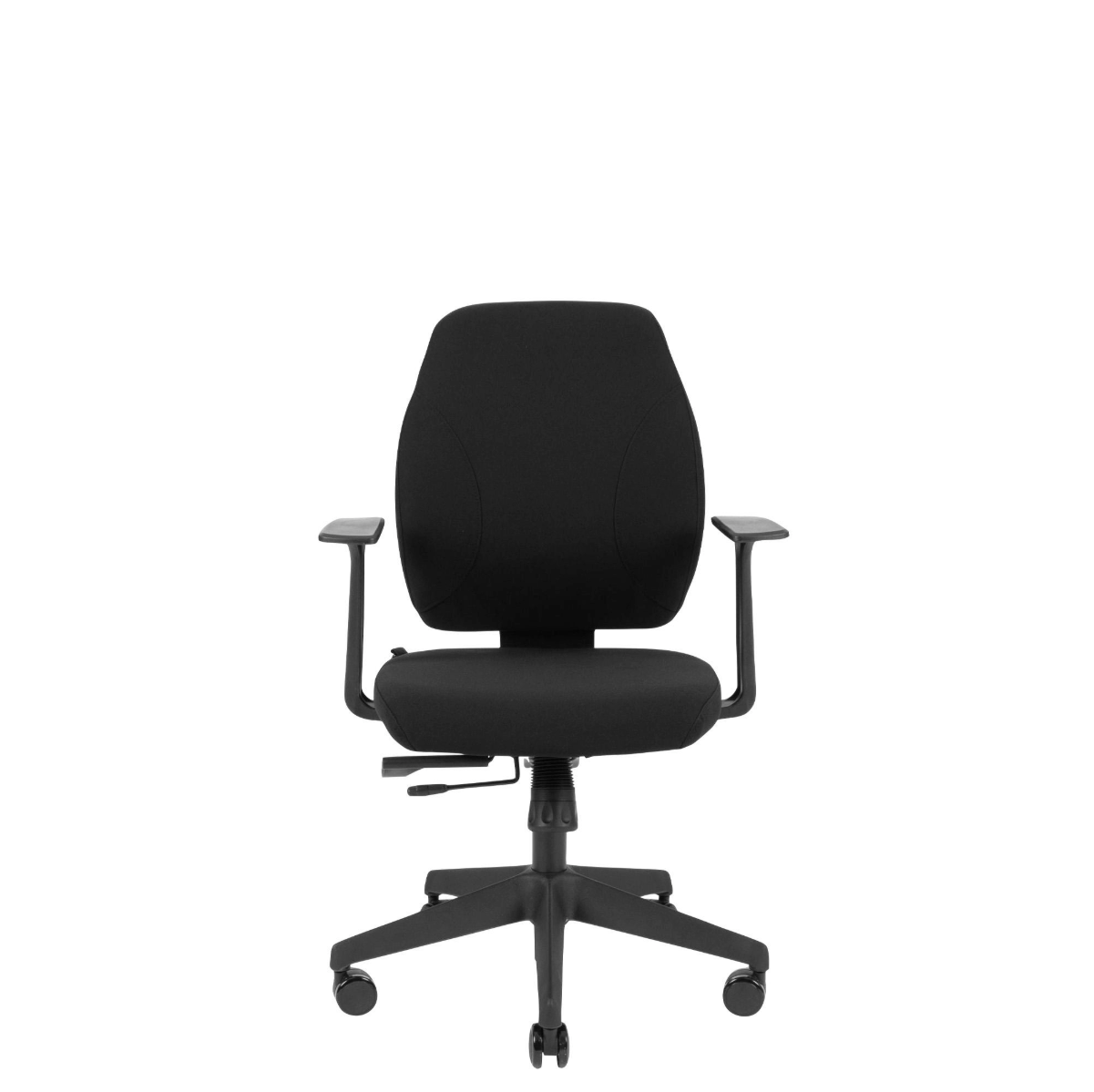 Canadian Ergo Eco
