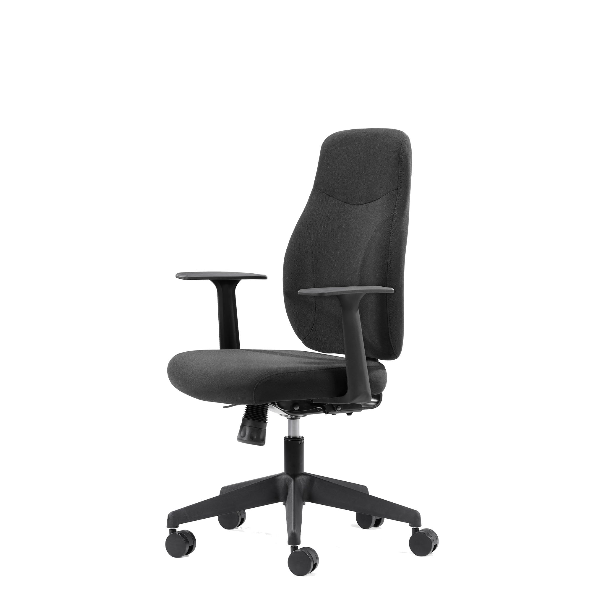 Canadian Ergo Eco
