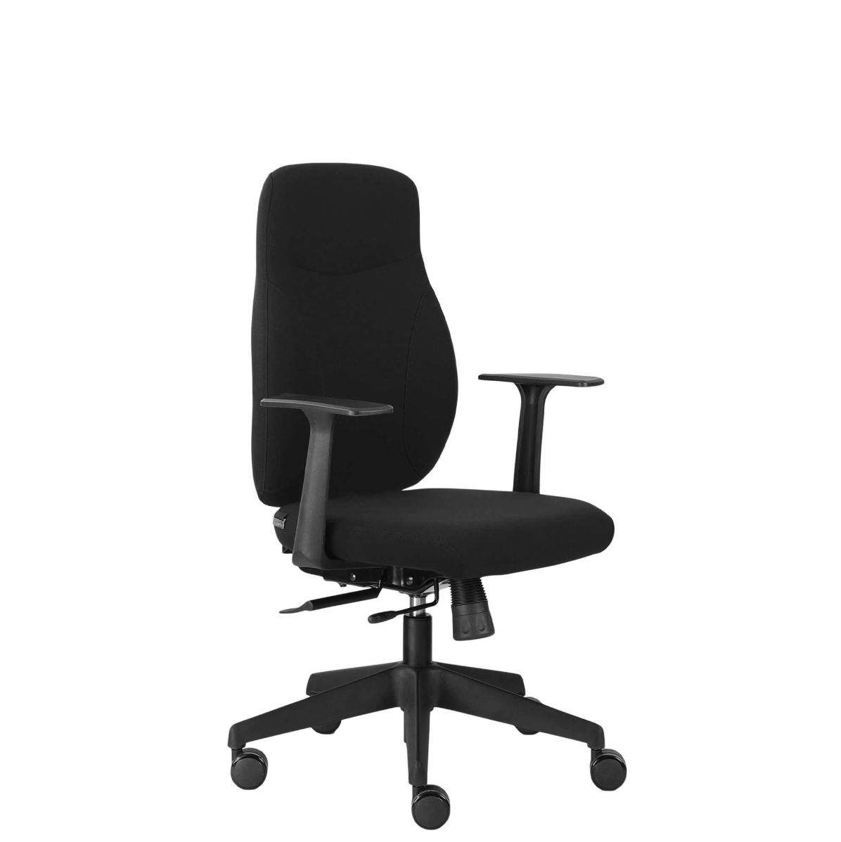 Canadian Ergo Eco