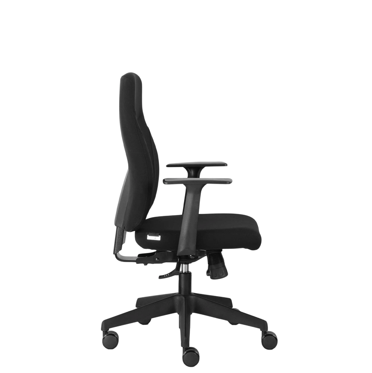 Canadian Ergo Eco