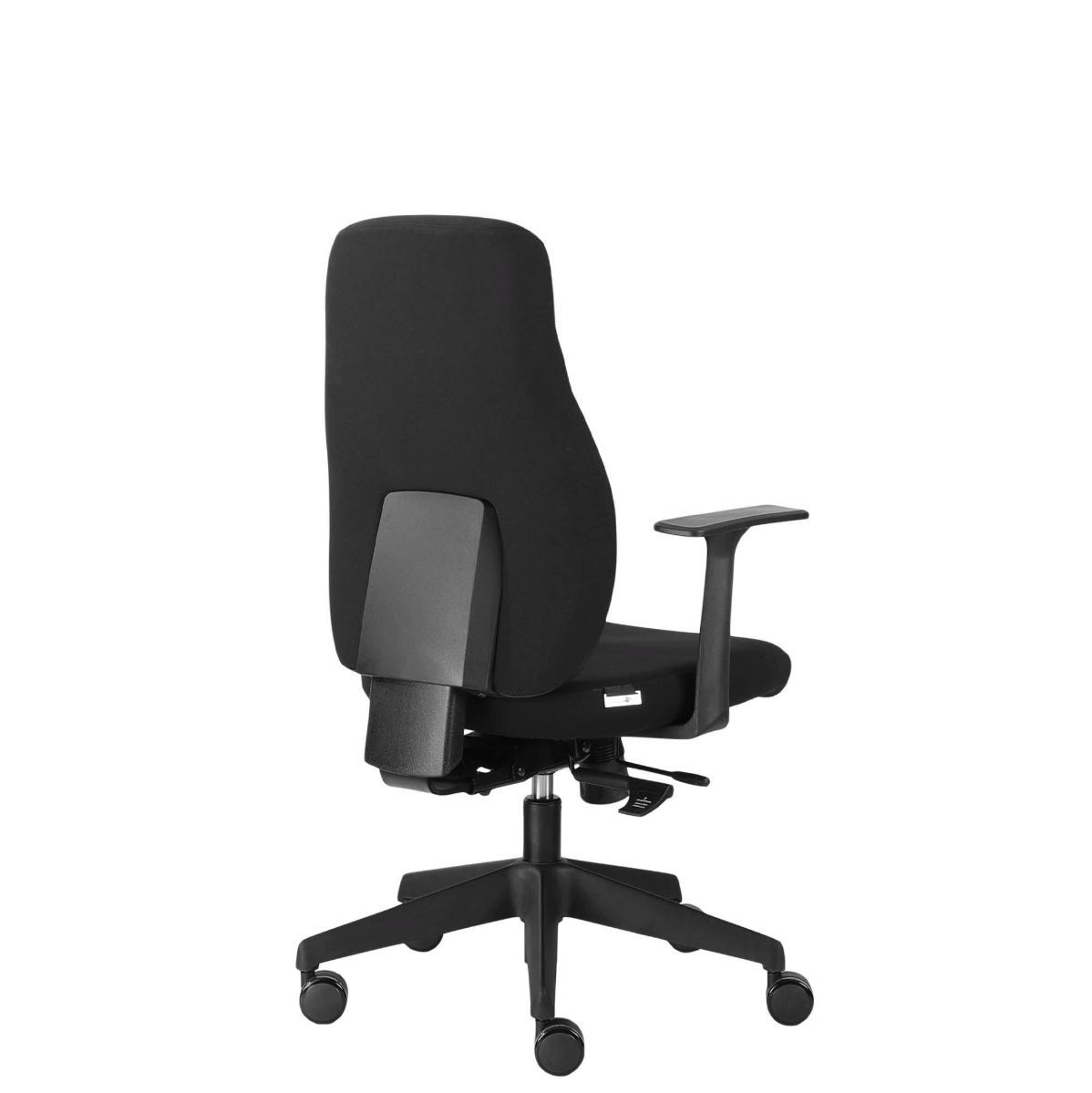Canadian Ergo Eco